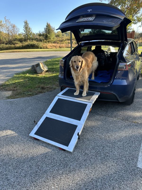 Hitch Dog Ramp - Image 2